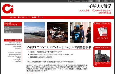 Japanese website design