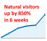 website visitors 