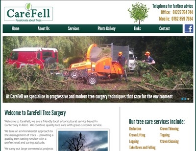CareFell Website