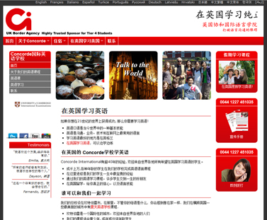 chinese webpage designs