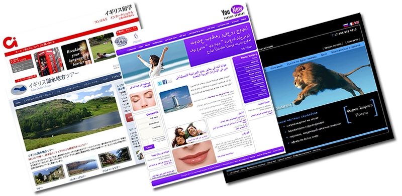 Multilingual Website Design